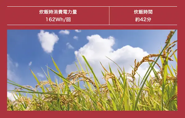 日立 RZ-Z100JM 極上コース（新米）