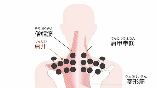 Panasonic EW-RA560 肩コリのツボ