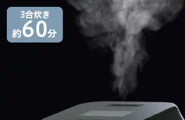 東芝 RC-10ZWA 蒸気セーブ