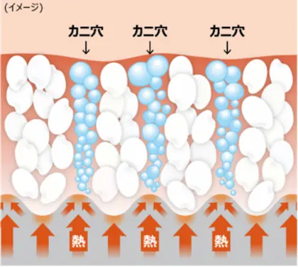 東芝 RC-10ZWA カニ穴